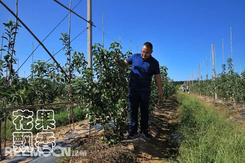 1638515776611071.jpg 王炳海在查看新品種苗木的質(zhì)量.jpg