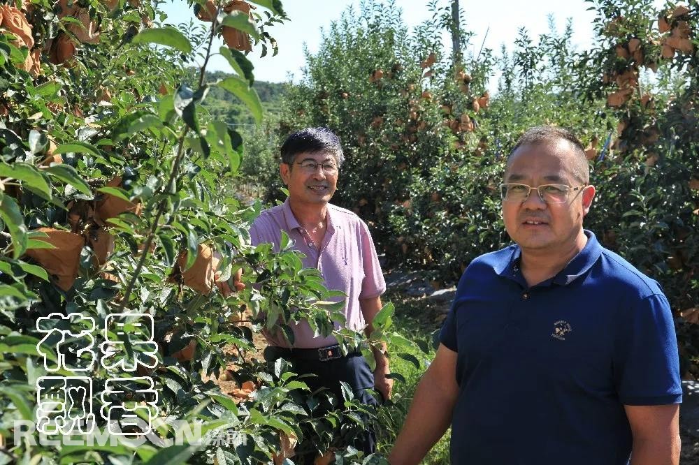 1638515932644726.jpg 阮樹(shù)興(左)和王炳海在果園交流.jpg