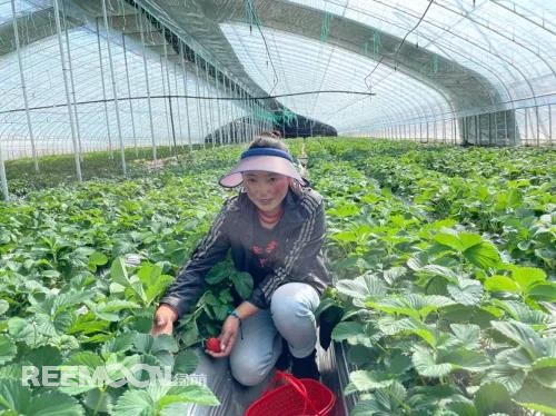 1639098729963880.jpg 4.jpg