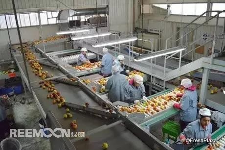 1639098775195434.jpg 6.jpg