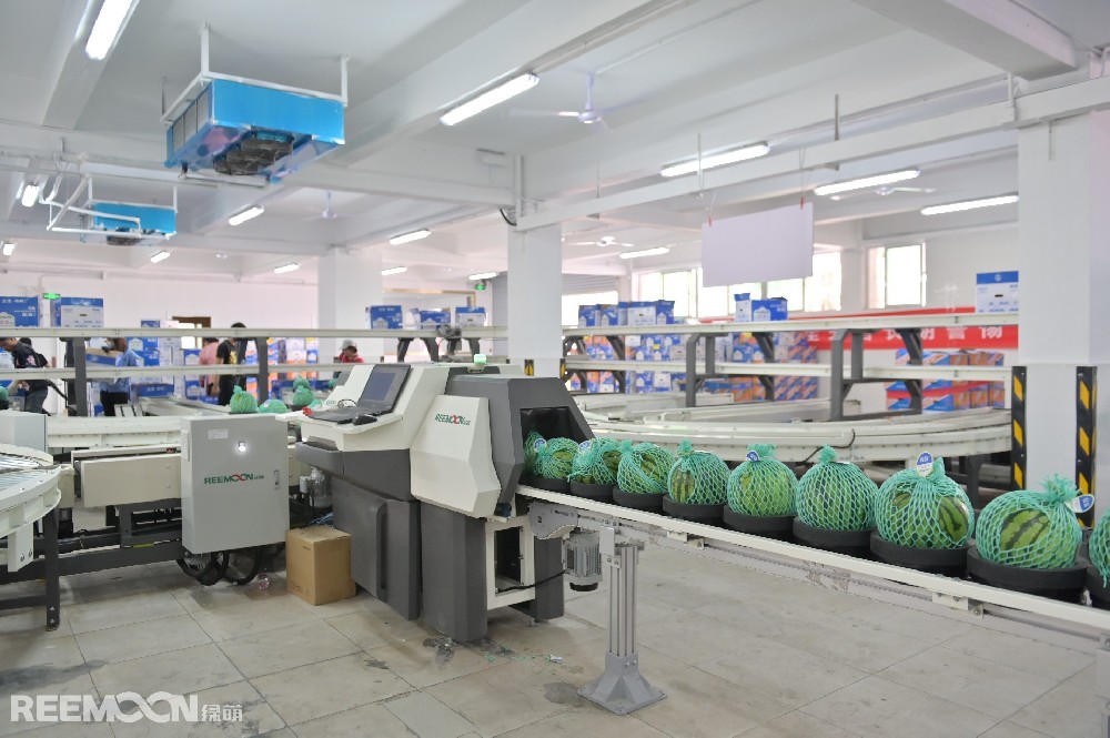 近日，據(jù)媒體報道，由寧波市農(nóng)科院自主選育的“豐脆1號”甜瓜和“蘭芯”西瓜兩個品種經(jīng)營權(quán)被成功拍賣，這兩個品種分別以60萬元和20萬元起拍，分別以70萬元和30萬元的價格成交。★報道截圖據(jù)悉，“蘭芯”西瓜于去年12月通過農(nóng)業(yè)農(nóng)村部非主要農(nóng)作物品種登記，為早熟小果型黃瓤西瓜品種，一年能種兩季，具有耐低溫性強、商品性