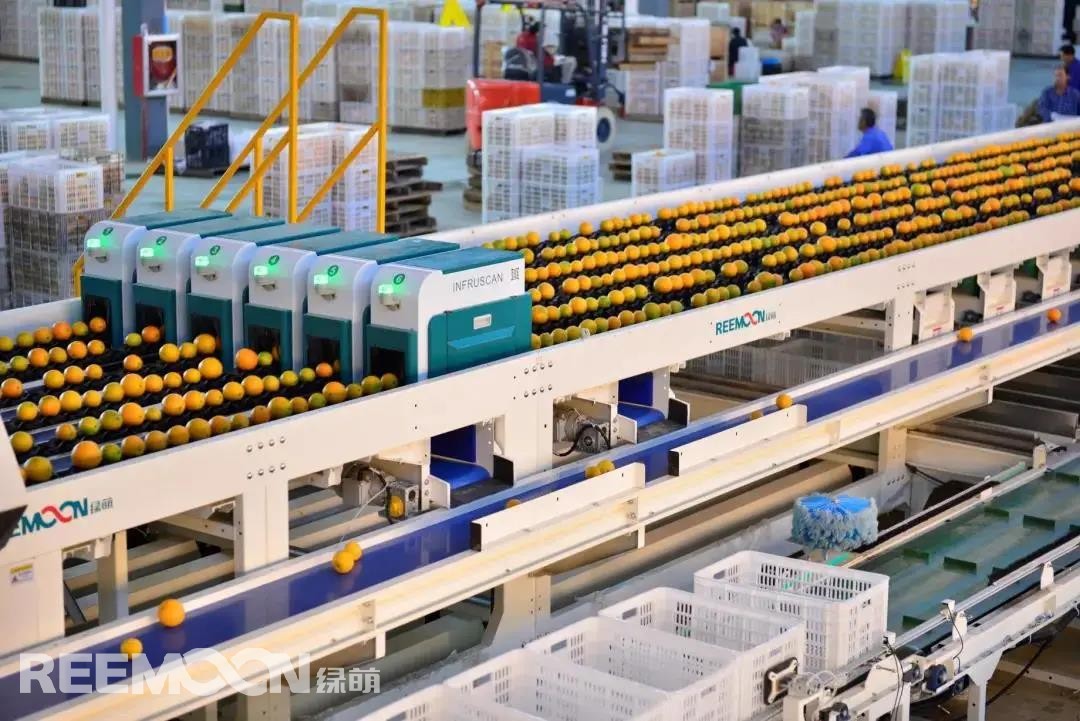 1640759670973371.jpg 1.jpg