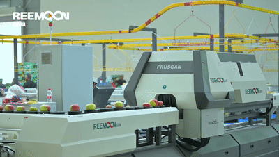 1640759727104177.gif 3.gif