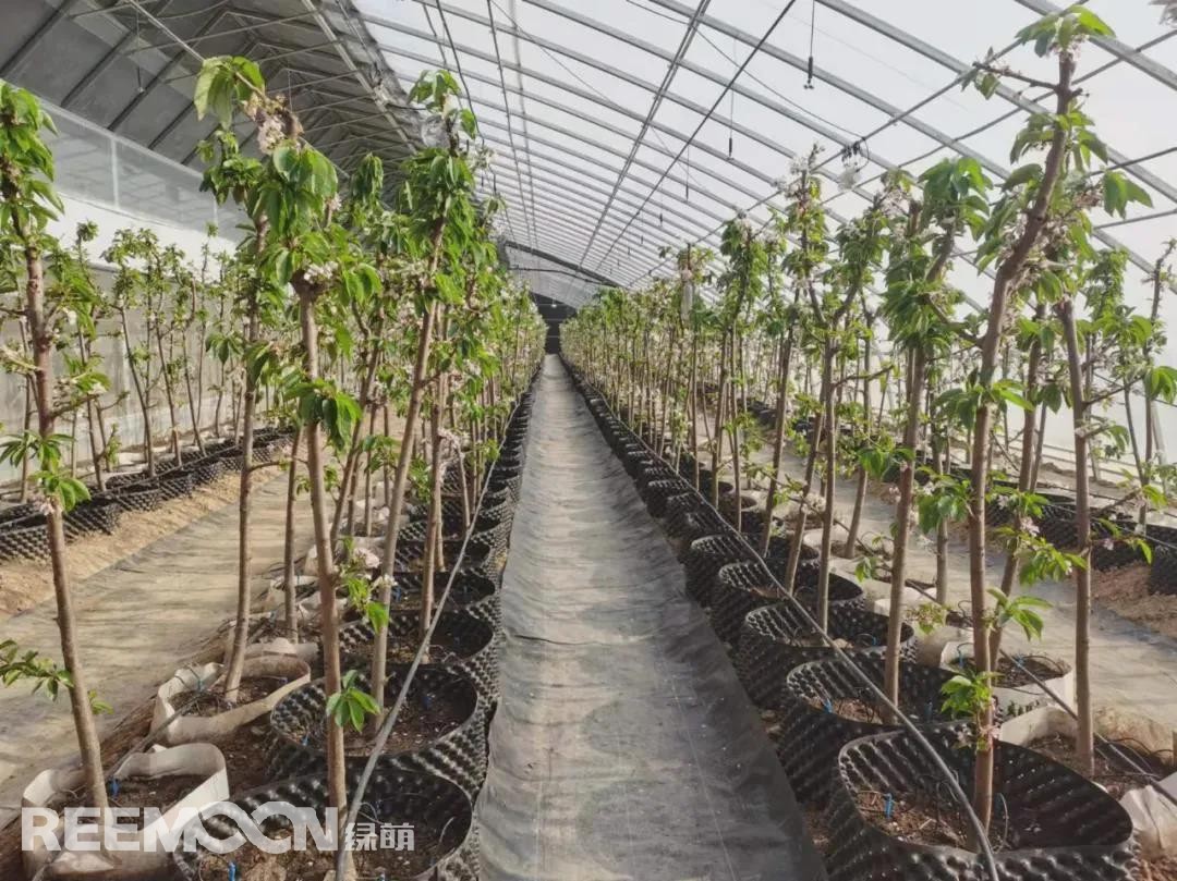 1642819873642135.jpg 4.jpg