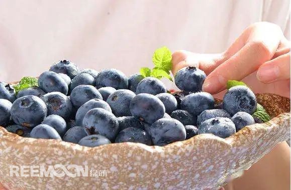 1653441411116469.jpg 3.jpg