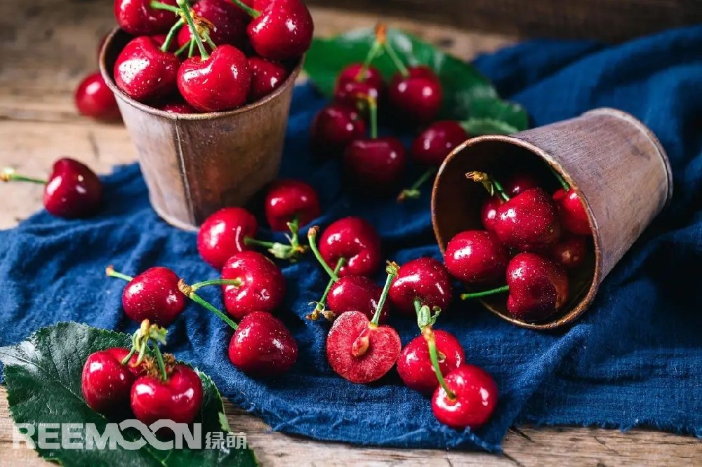 荔枝、芒果、櫻桃、西瓜、藍(lán)莓……春夏之交，市場(chǎng)上各種水果琳瑯滿目，受到消費(fèi)者青睞。隨著生活水平提高，消費(fèi)者對(duì)豐富多樣、品質(zhì)優(yōu)良的農(nóng)產(chǎn)品需求增加。目前水稻、小麥、大豆等“中國(guó)糧”已經(jīng)用上了中國(guó)種子，但還有一些農(nóng)作物的種源仍然依賴進(jìn)口，其中就包括柑橘、蘋(píng)果、草莓等常見(jiàn)水果。如何破解我國(guó)優(yōu)質(zhì)水果的種源問(wèn)題