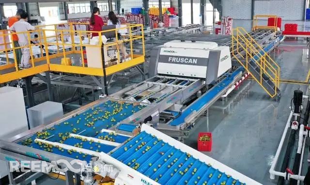 1655972167290347.jpg 3.jpg