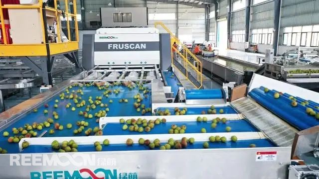 1655972194838781.jpg 4.jpg