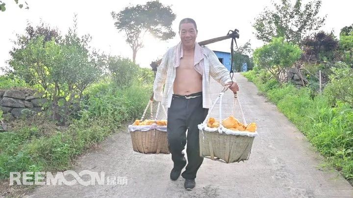 1656919841140836.jpg 1.jpg