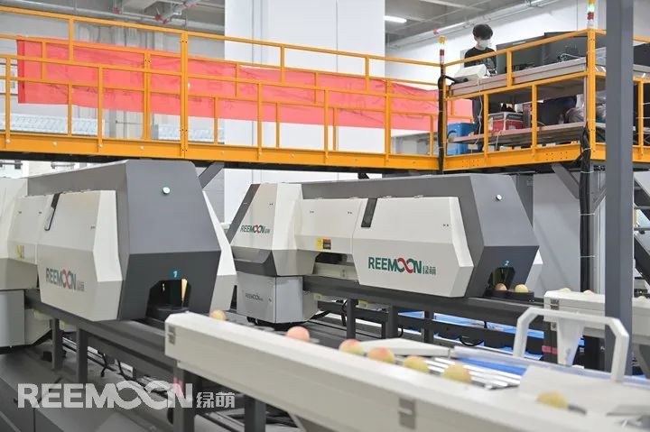 1656919950108900.jpg 4.2.jpg