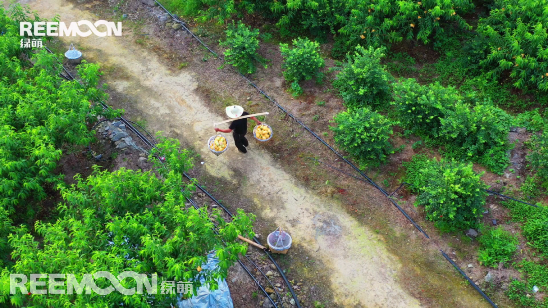 1656920048319494.png 10.png