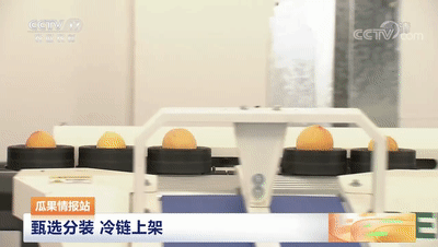 連線采訪＋現(xiàn)場(chǎng)直播7月20日CCTV農(nóng)業(yè)農(nóng)村頻道、央視頻APP深度報(bào)道湖北老河口黃桃產(chǎn)業(yè)發(fā)展情況綠萌作為果蔬智能科技分選企業(yè)憑借AI（人工智能）算法以及光譜技術(shù)為老河口黃桃產(chǎn)業(yè)賦能而亮相央視在此之前綠萌因?yàn)橹袊卟珊髽?biāo)準(zhǔn)建設(shè)賦能已經(jīng)多次亮相于央視黃桃作為老河口的“富農(nóng)果”，身肩重任。全市3.5萬畝黃桃如何打造價(jià)格