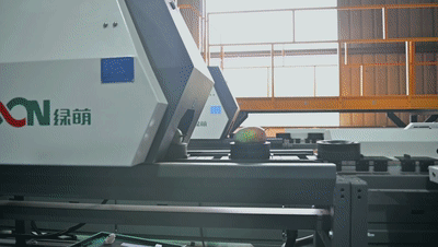 1663029754211911.gif 芒果2.gif