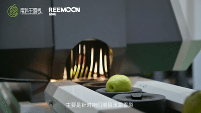1663032536179719.gif 香梨分級(jí).gif