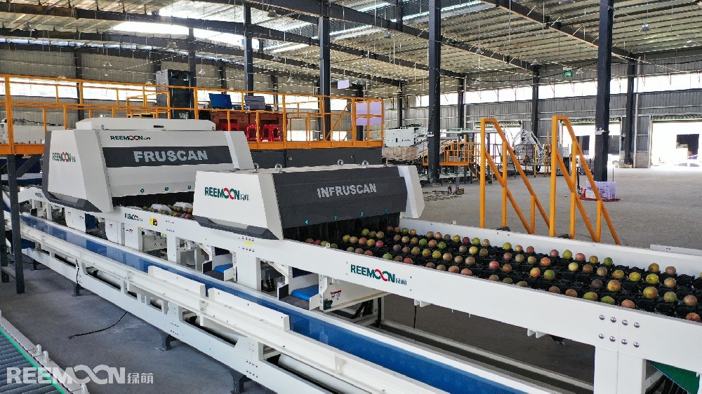 “搭上數(shù)字化分選快車 貴州百香果打開“優(yōu)果優(yōu)價(jià)”新局面