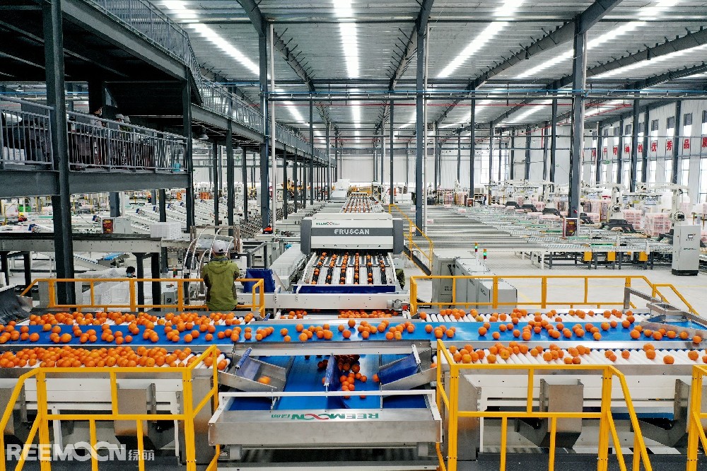 水果作為日常生活必不可少的食品之一，富含各種維生素、礦物質(zhì)和纖維素,對(duì)我們的身體健康有著重要的作用。世界上水果種類(lèi)繁多，而說(shuō)到其中最復(fù)雜的水果家族，就不得不提柑橘家族。柑橘800萬(wàn)年前起源于喜馬拉雅地區(qū)，是人類(lèi)采食利用最早的水果之一。幾百萬(wàn)年的自然選擇，4000多年的人為參與。讓柑橘成為了一個(gè)家族內(nèi)部成員關(guān)