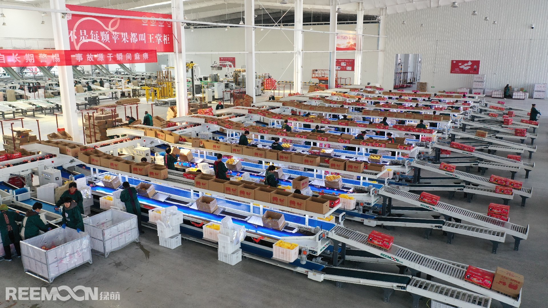 1697594480731198.jpg DJI_0288.JPG