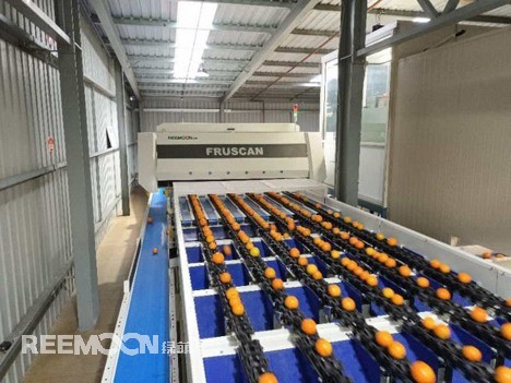 1698459522213488.jpg Reemoon_v02.jpg