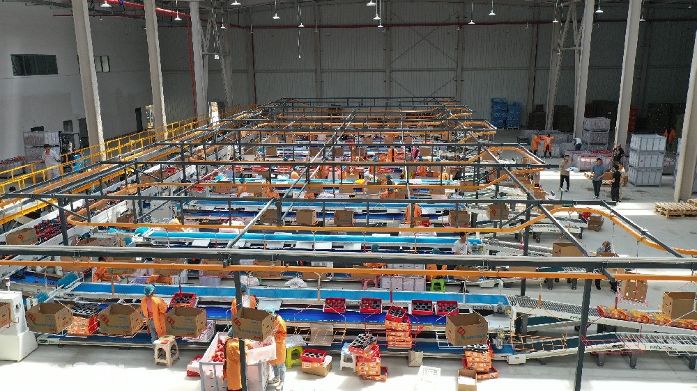 文來源：新華社記者：孫敏綠萌果蔬分選，贊1 ?*視頻來源：新華社地處烏蒙山區(qū)腹地的云南省昭通市是我國南方優(yōu)質(zhì)蘋果生產(chǎn)基地，昭通蘋果甜脆可口，深受消費(fèi)者喜愛。為了避免消費(fèi)者買到外表光鮮的壞果，當(dāng)?shù)靥O果企業(yè)引進(jìn)了我國自主研發(fā)的高科技產(chǎn)品綠萌智能分選線給每個(gè)蘋果做“CT”，將人類靠肉眼