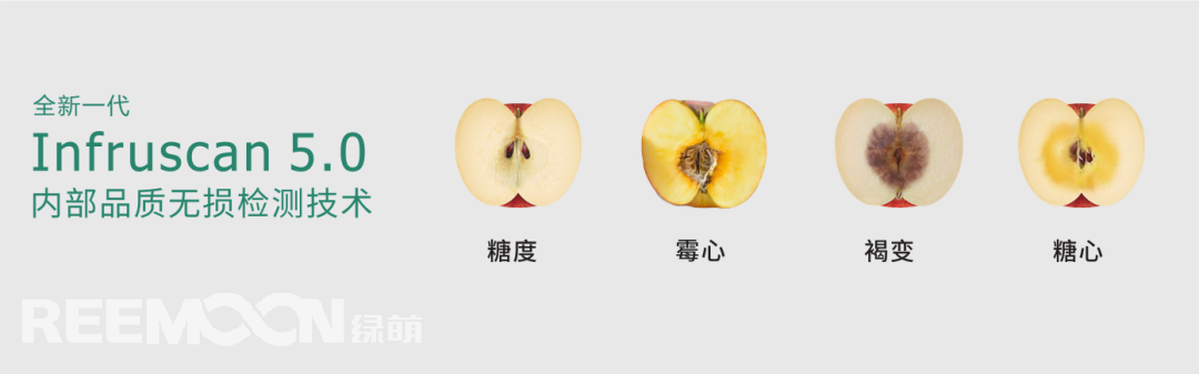 1698984210524905.png 內(nèi)部品質(zhì)系統(tǒng) - 副本.png
