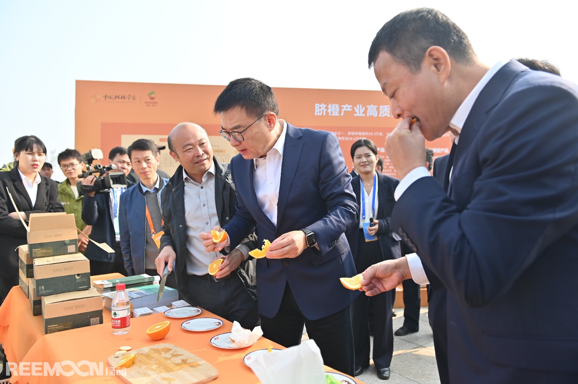 1701079090213096.jpg DSC_8649.JPG