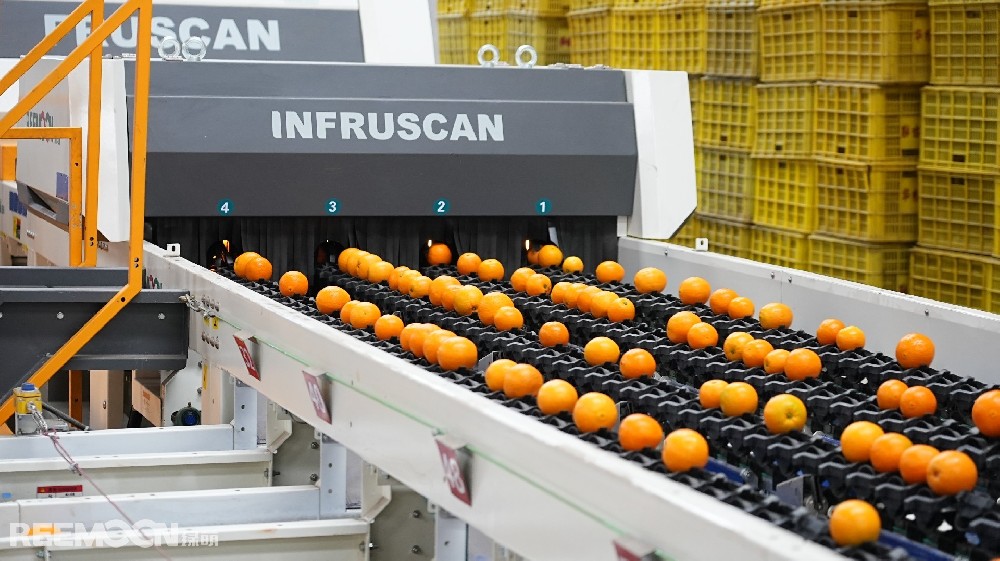 5月9日湖北日?qǐng)?bào)“三農(nóng)觀察”板塊聚焦“綠萌AI分選，精準(zhǔn)檢測(cè)秭歸臍橙干水”全文如下↓來(lái)源｜湖北日?qǐng)?bào)全媒記者｜劉勝通訊員｜鄭貝貝“今年春節(jié)的雨雪冰凍天氣對(duì)橙子的品質(zhì)產(chǎn)生影響，少部分橙子因積雪覆蓋出現(xiàn)‘干水癥’，不好的口感影響了口碑?！?月是倫晚（臍橙的一種）上市季，秭歸縣果農(nóng)陳光卻愁眉不展，往年這時(shí)節(jié)采購(gòu)的