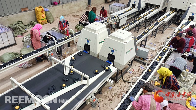 1728899042686845.jpg 1.jpg