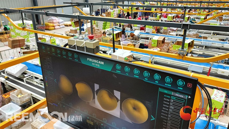 1728899048255413.jpg 2.jpg