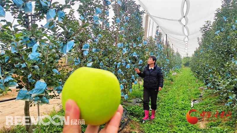 1728899053168068.jpg 3.jpg