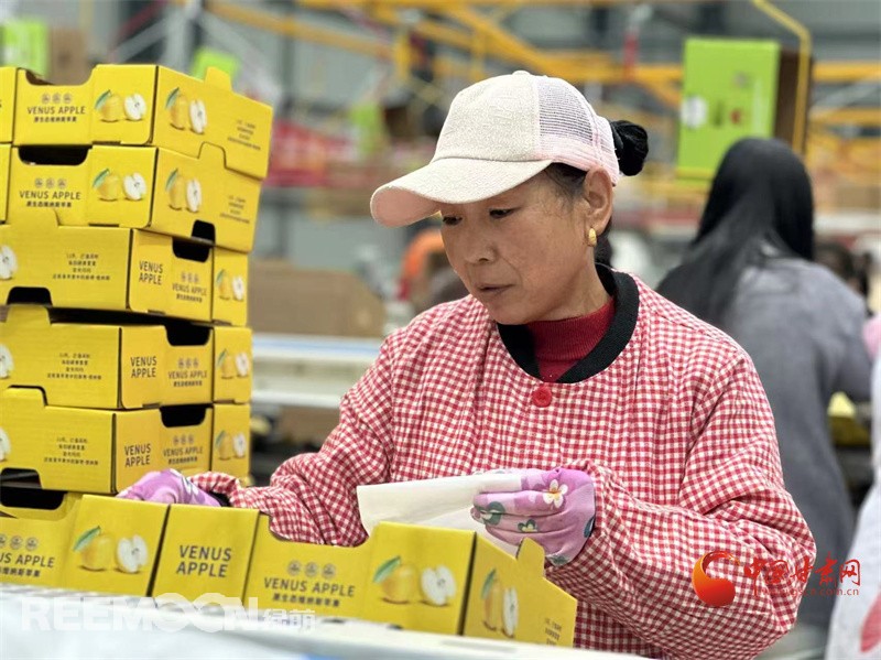 1728899060445864.jpg 4.jpg