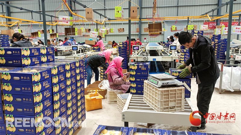 1728899065111877.jpg 5.jpg