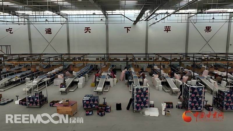 1735184208181705.jpg 1735180155093 - 副本.jpg