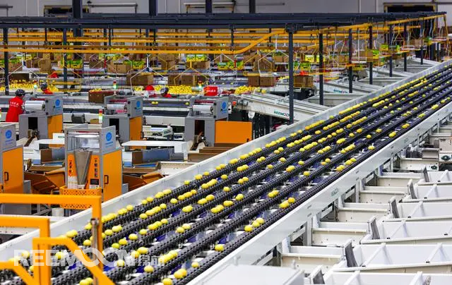 1735780248677128.jpg 1735780144314.jpg