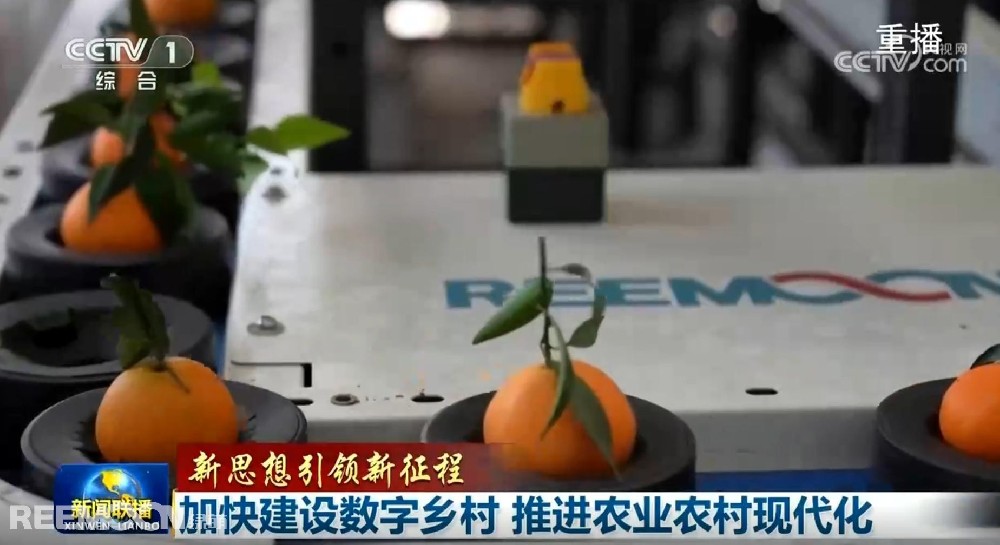 又又又上央視了2025開年見喜綠萌在半月之內兩次登上《新聞聯(lián)播》2025年1月1日央視《新聞聯(lián)播》聚焦《甘肅省天水市麥積區(qū)南山花牛蘋果》其中一組畫面中綠萌蘋果雙通道分選線上鏡這條分揀線對蘋果的大小、色澤、瑕疵、糖度、霉心等指標進行精準檢測分級助推花牛蘋果做大做強助力果農增收致富10