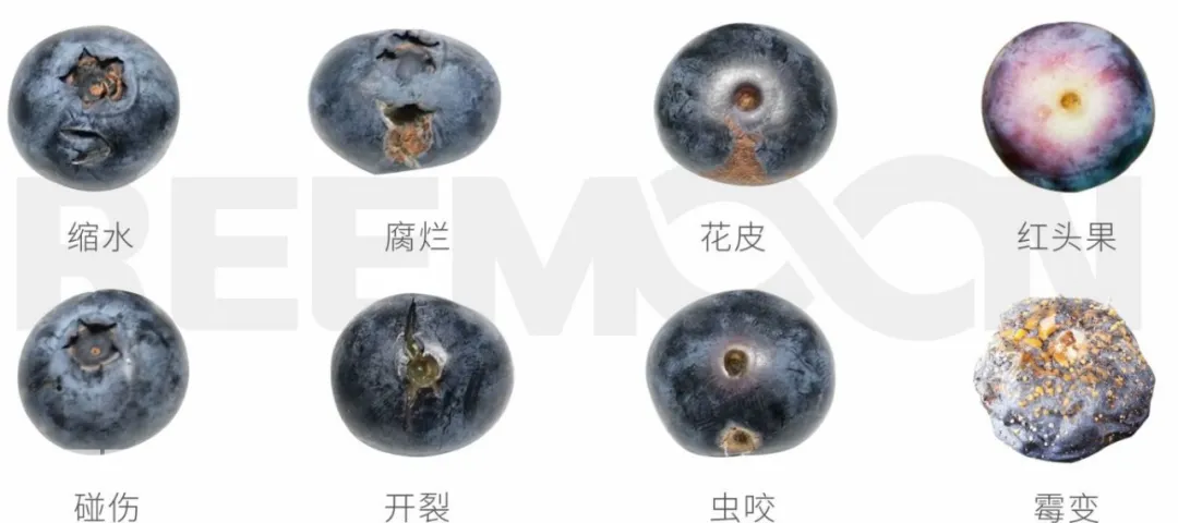 1740127827118756.jpg 1739346909922.jpg