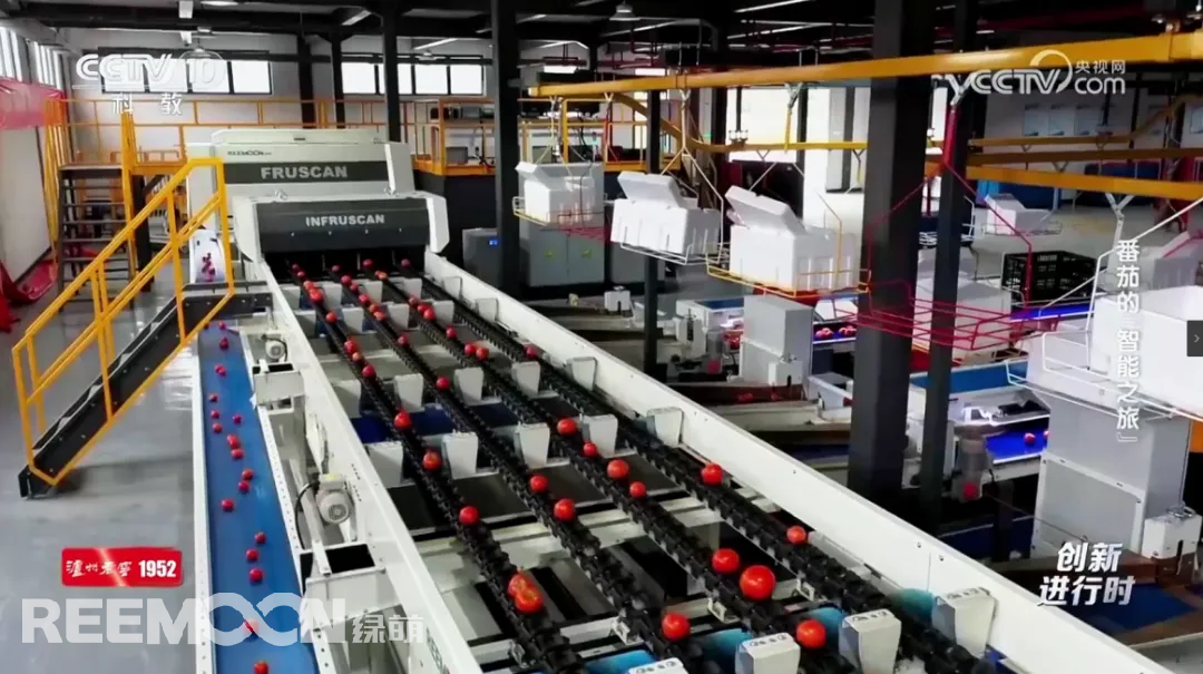 1741773214172088.jpg 1741768125965.jpg