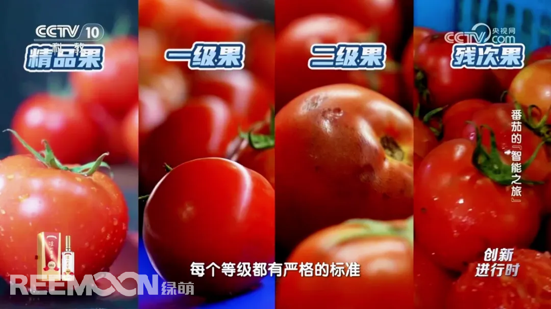 1741773221985959.jpg 1741768139262.jpg