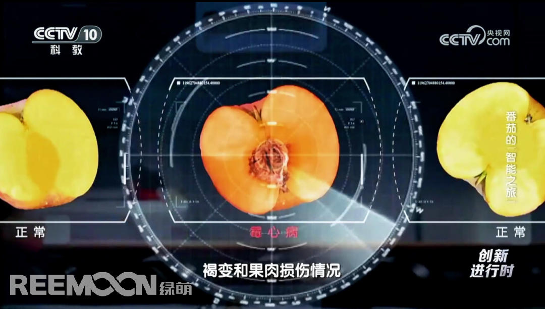 1741773269710766.jpg 1741768197354.jpg