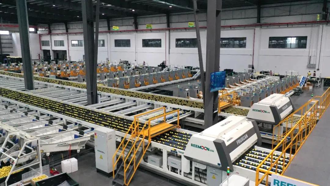 1742263037690533.jpeg 86a14081bc6c4bf49eed6cb30c0f0fcf_tplv-tt-origin-web_gif.jpeg