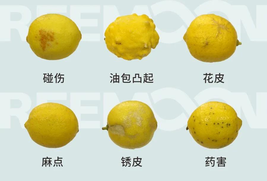 1742263185384522.jpeg a7753d244c034ac792936f55444af52e_tplv-tt-origin-web_gif.jpeg