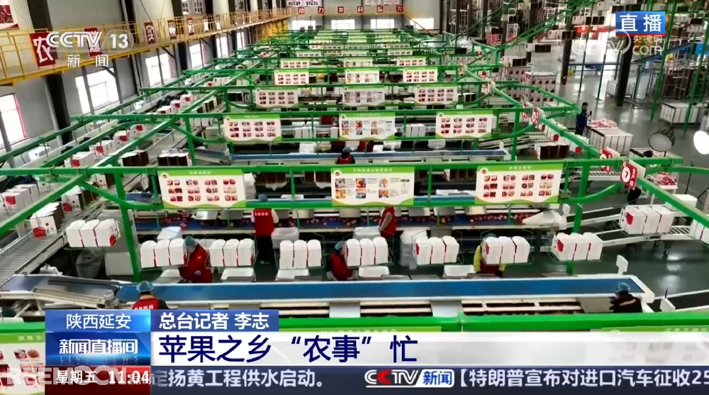 春天是希望的季節(jié)陜西延安是我國蘋果的優(yōu)生區(qū)和主產(chǎn)區(qū)蘋果之鄉(xiāng)正呈現(xiàn)出一片繁忙的景象3月28日，CCTV13新聞頻道聚焦陜西延安蘋果產(chǎn)業(yè)發(fā)展展現(xiàn)中國農(nóng)業(yè)現(xiàn)代化與鄉(xiāng)村振興的生動實踐PART.01智能分選線：給蘋果做“體檢”，助力果農(nóng)增收致富延安甘泉縣分揀車間內(nèi)綠萌智能分選設(shè)備高效運轉(zhuǎn)通過人工智能和圖像處理技術(shù)對傳送帶上的