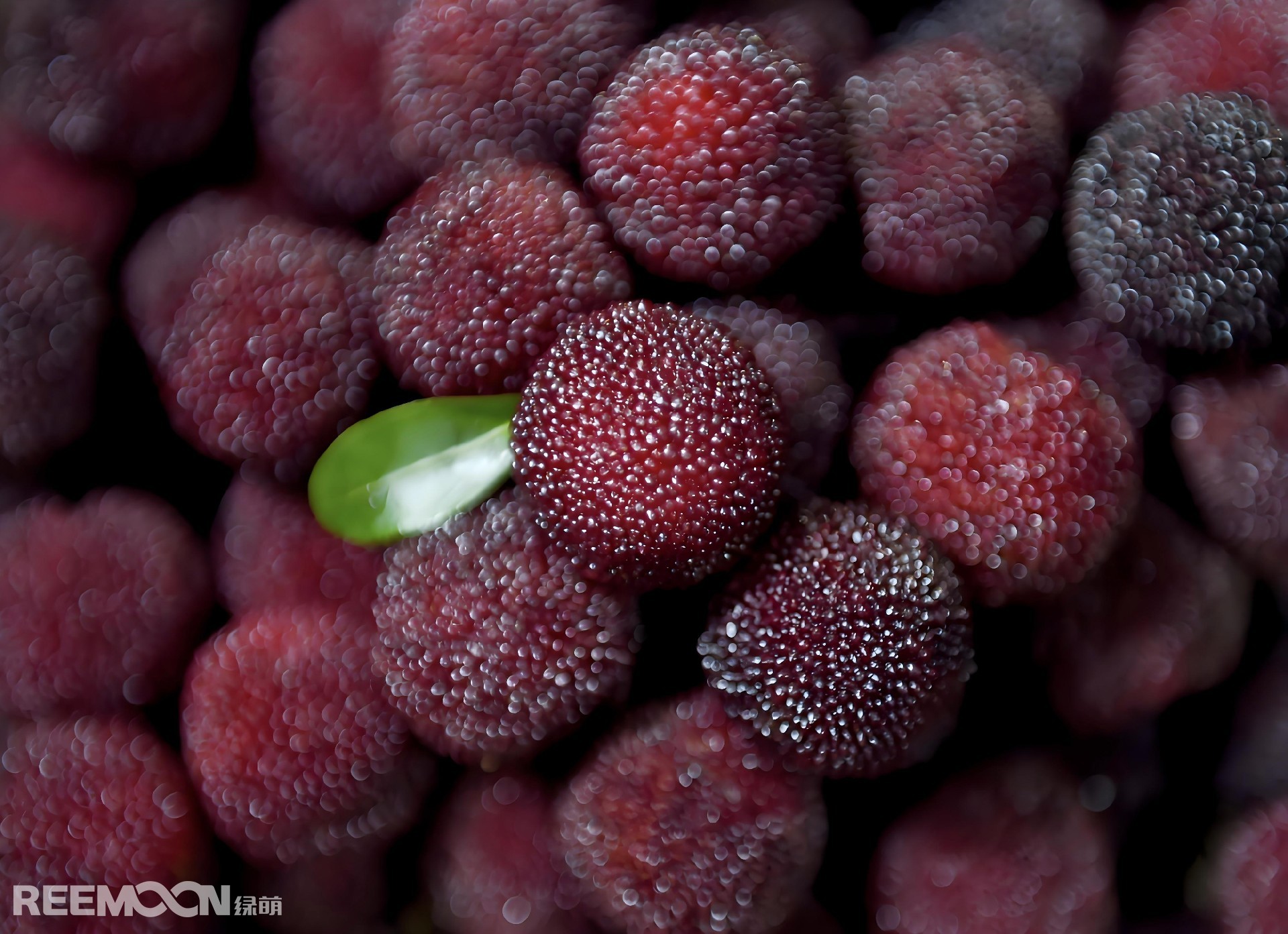 1750490527016 - 副本 - 副本.jpg