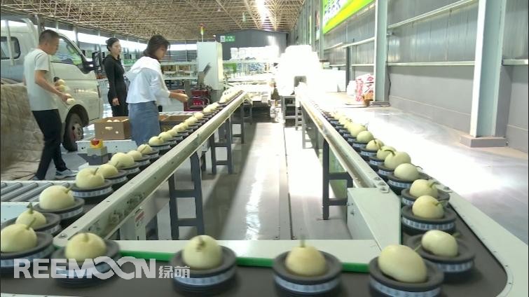 1752828983161407.jpg 214.jpg