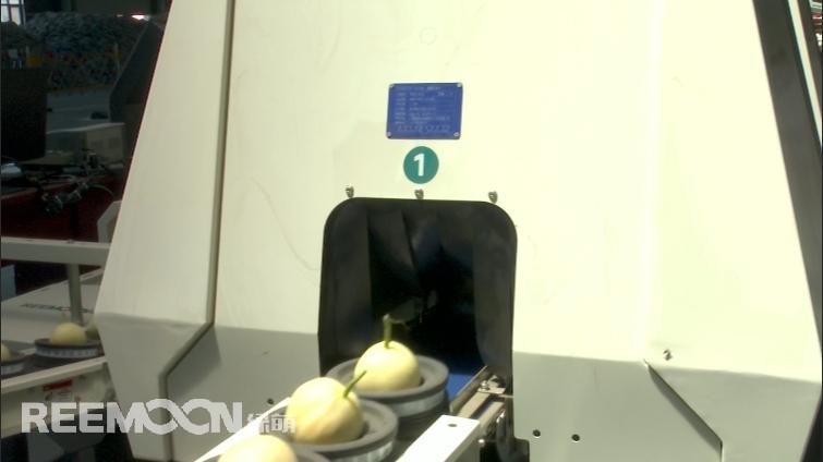 1752828992105008.jpg 218.jpg