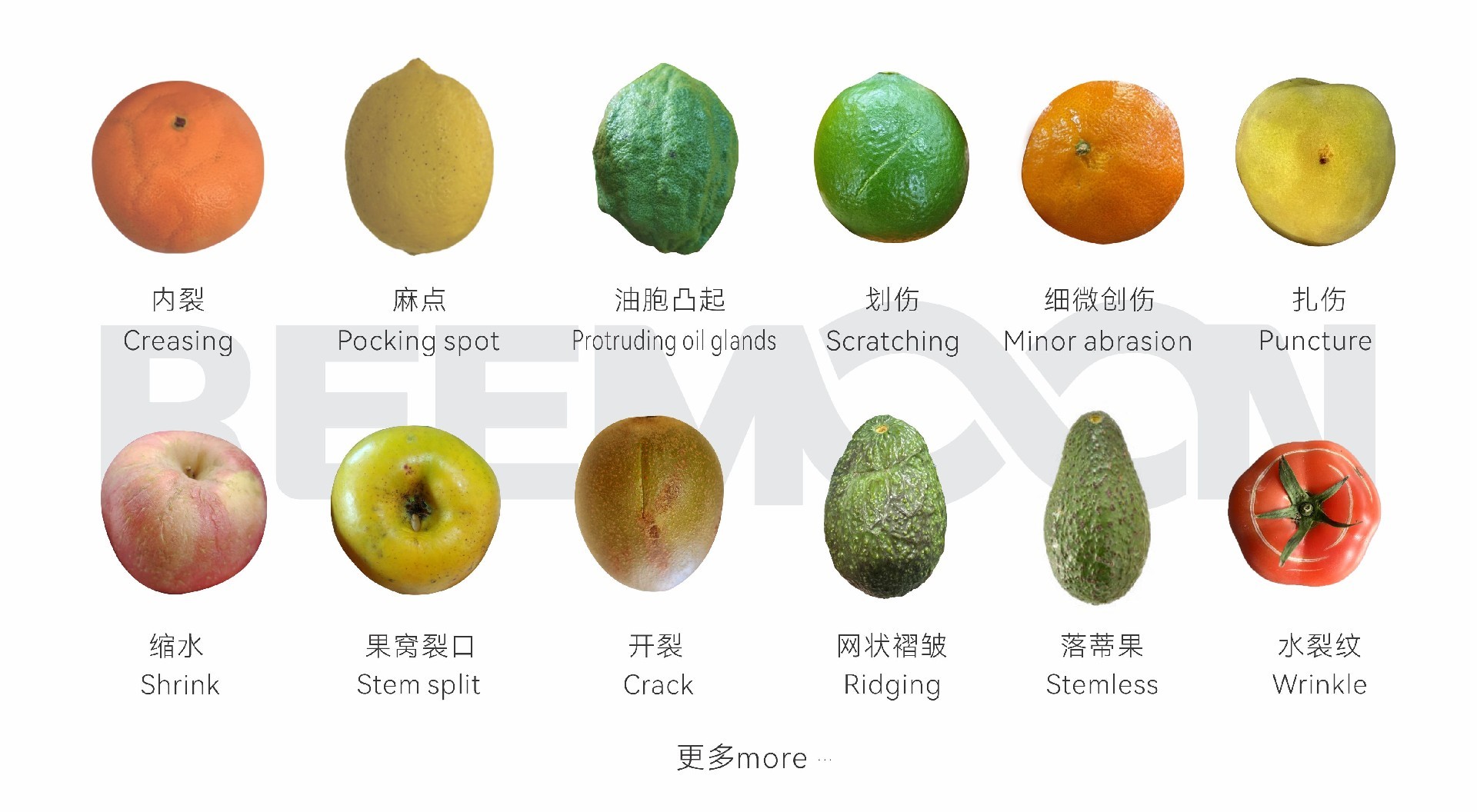 1757293649440773.jpg 微信圖片_20250903174234.jpg