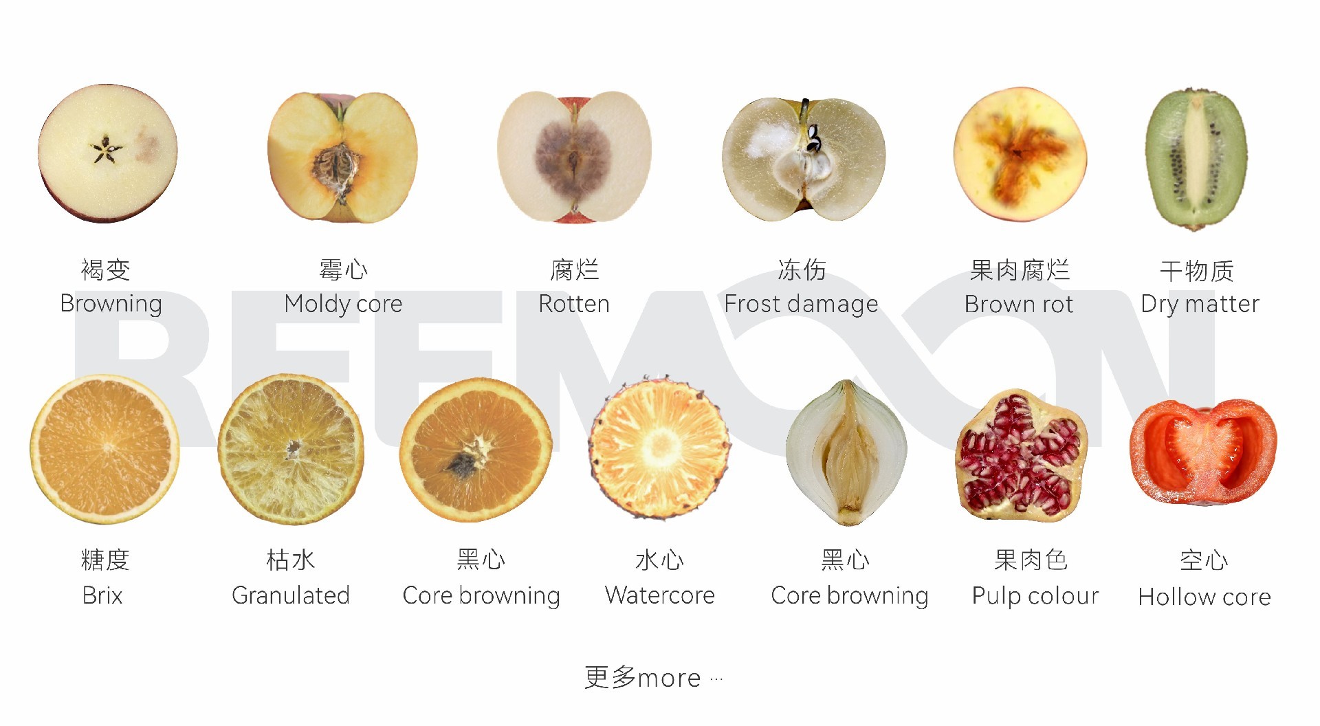 1757293667274748.jpg 微信圖片_20250903174240.jpg