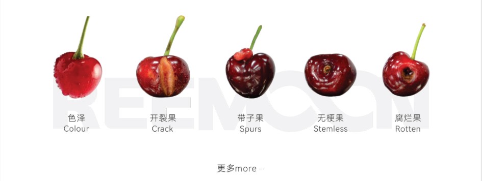 車?yán)遄予Υ?jpg