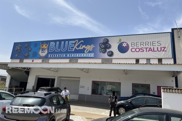 Reemoon Technology Holdings Co., Ltd. ha completado recientemente la instalación de una línea multifuncional de clasificación de arándanos de cuatro canales en Lepe, Huelva, que entró oficialmente en funcionamiento en febrero de 2025. Esta línea, dise?ada específicamente para la clasificació