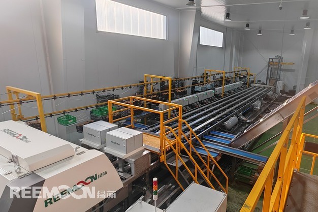 Reemoon Technology Holdings Co., Ltd. has completed the installation of a new-generation cherry sorting line at Cherry World Group's packinghouse in the Jerte Valley, Cáceres, Spain. The line officially went into operation in mid-May 2025, following installation work that began in early April.