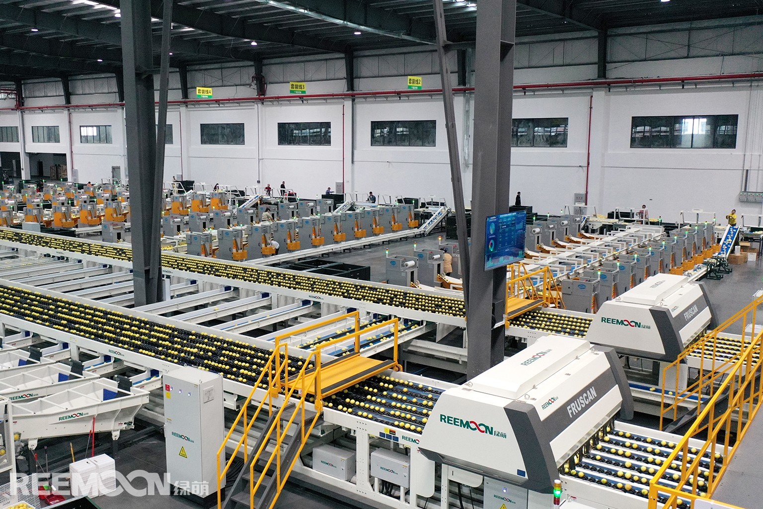 1764669547197210.jpg 檸檬分選.jpg